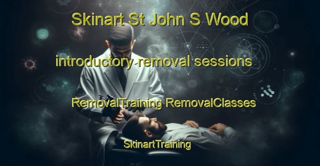 Skinart St John S Wood introductory removal sessions | #RemovalTraining #RemovalClasses #SkinartTraining-United Kingdom