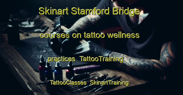 Skinart Stamford Bridge courses on tattoo wellness practices | TattooTraining | TattooClasses | SkinartTraining-United Kingdom