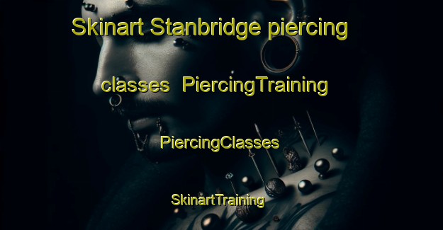 Skinart Stanbridge piercing classes | #PiercingTraining #PiercingClasses #SkinartTraining-United Kingdom