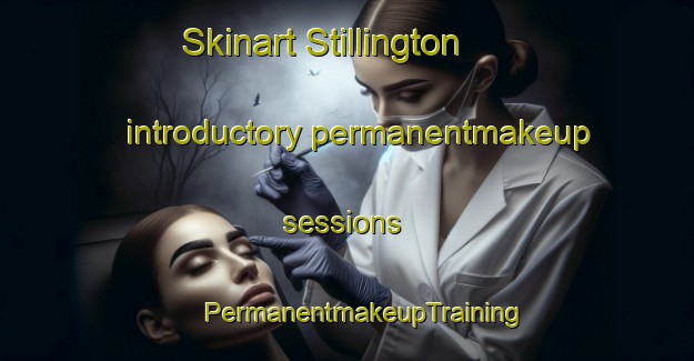 Skinart Stillington introductory permanentmakeup sessions | #PermanentmakeupTraining #PermanentmakeupClasses #SkinartTraining-United Kingdom