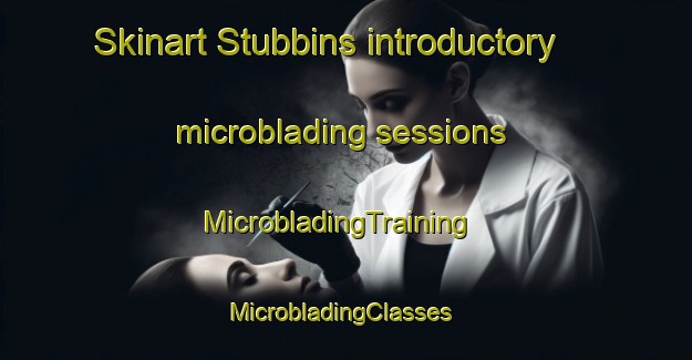 Skinart Stubbins introductory microblading sessions | MicrobladingTraining | MicrobladingClasses | SkinartTraining-United Kingdom