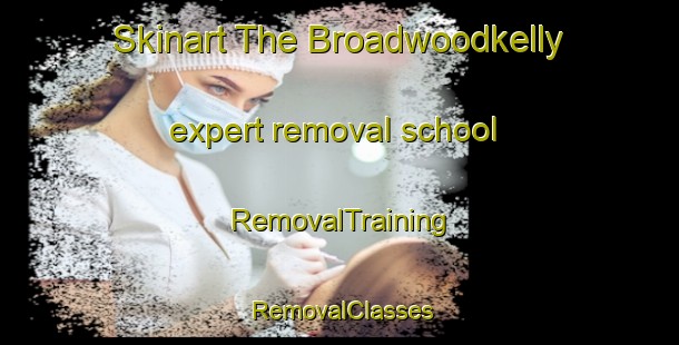 Skinart The Broadwoodkelly expert removal school | RemovalTraining | RemovalClasses | SkinartTraining-United Kingdom