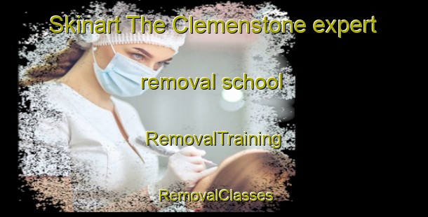 Skinart The Clemenstone expert removal school | RemovalTraining | RemovalClasses | SkinartTraining-United Kingdom