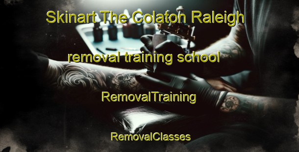 Skinart The Colaton Raleigh removal training school | RemovalTraining | RemovalClasses | SkinartTraining-United Kingdom