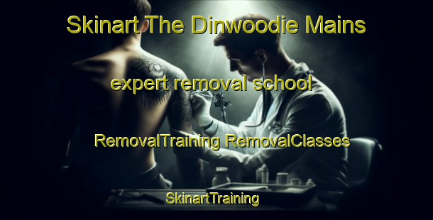 Skinart The Dinwoodie Mains expert removal school | #RemovalTraining #RemovalClasses #SkinartTraining-United Kingdom