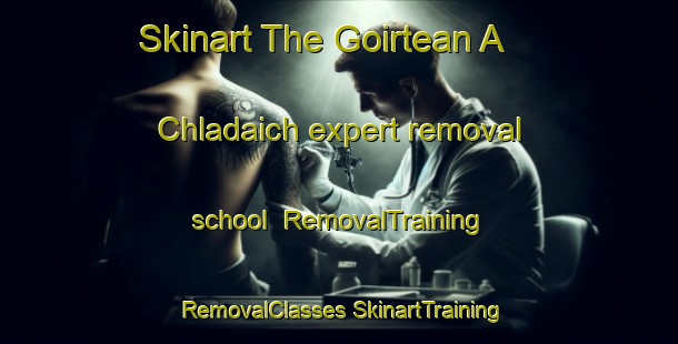 Skinart The Goirtean A  Chladaich expert removal school | #RemovalTraining #RemovalClasses #SkinartTraining-United Kingdom