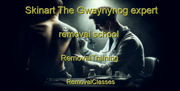 Skinart The Gwaynynog expert removal school | RemovalTraining | RemovalClasses | SkinartTraining-United Kingdom