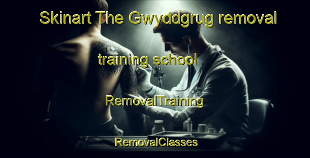 Skinart The Gwyddgrug removal training school | RemovalTraining | RemovalClasses | SkinartTraining-United Kingdom