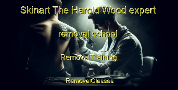 Skinart The Harold Wood expert removal school | RemovalTraining | RemovalClasses | SkinartTraining-United Kingdom