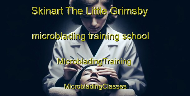 Skinart The Little Grimsby microblading training school | #MicrobladingTraining #MicrobladingClasses #SkinartTraining-United Kingdom