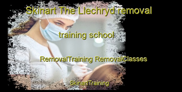 Skinart The Llechryd removal training school | #RemovalTraining #RemovalClasses #SkinartTraining-United Kingdom