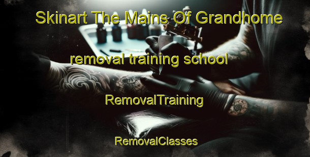 Skinart The Mains Of Grandhome removal training school | RemovalTraining | RemovalClasses | SkinartTraining-United Kingdom