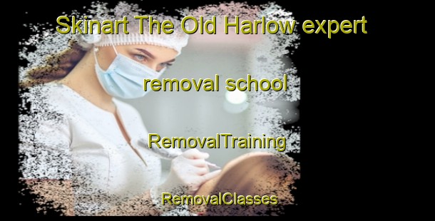 Skinart The Old Harlow expert removal school | RemovalTraining | RemovalClasses | SkinartTraining-United Kingdom