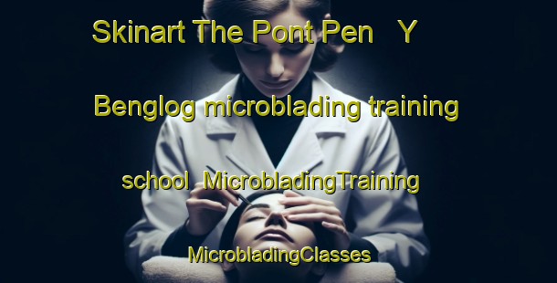 Skinart The Pont Pen   Y   Benglog microblading training school | #MicrobladingTraining #MicrobladingClasses #SkinartTraining-United Kingdom