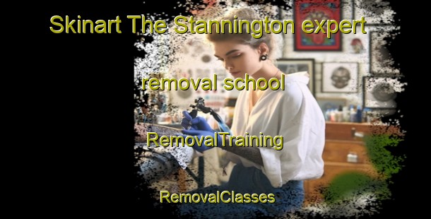 Skinart The Stannington expert removal school | RemovalTraining | RemovalClasses | SkinartTraining-United Kingdom
