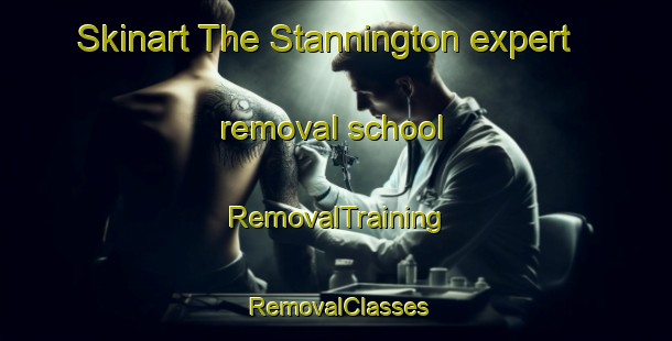 Skinart The Stannington expert removal school | RemovalTraining | RemovalClasses | SkinartTraining-United Kingdom