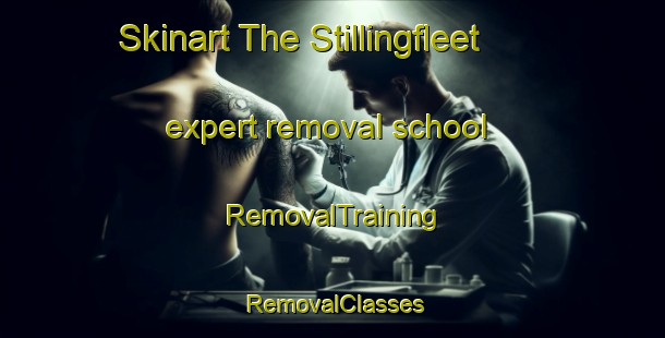 Skinart The Stillingfleet expert removal school | RemovalTraining | RemovalClasses | SkinartTraining-United Kingdom