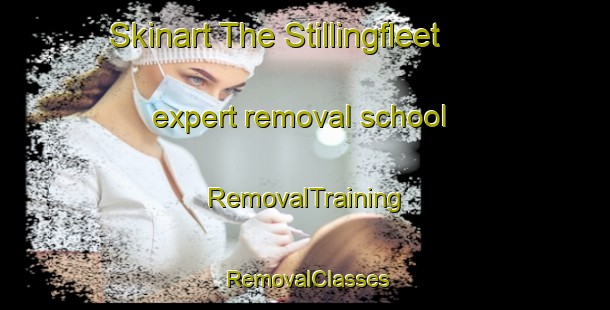 Skinart The Stillingfleet expert removal school | RemovalTraining | RemovalClasses | SkinartTraining-United Kingdom
