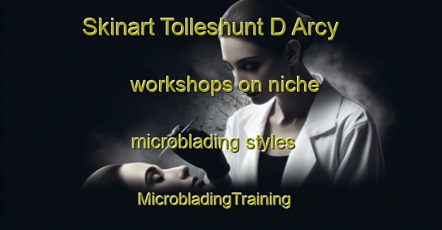 Skinart Tolleshunt D Arcy workshops on niche microblading styles | MicrobladingTraining | MicrobladingClasses | SkinartTraining-United Kingdom