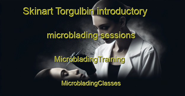 Skinart Torgulbin introductory microblading sessions | MicrobladingTraining | MicrobladingClasses | SkinartTraining-United Kingdom