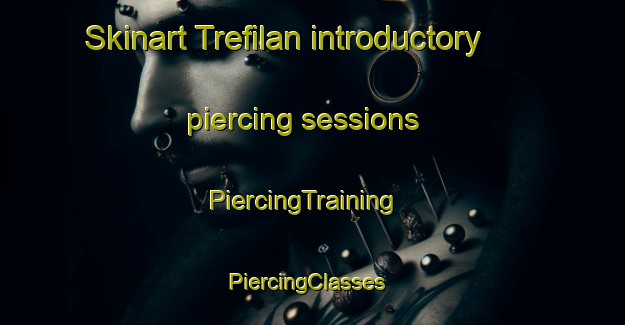 Skinart Trefilan introductory piercing sessions | PiercingTraining | PiercingClasses | SkinartTraining-United Kingdom