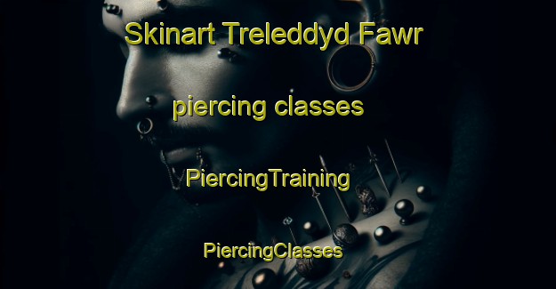 Skinart Treleddyd Fawr piercing classes | PiercingTraining | PiercingClasses | SkinartTraining-United Kingdom