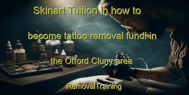 Skinart Tuition in how to become tattoo removal fundi in the Offord Cluny area | RemovalTraining | RemovalClasses | SkinartTraining-United Kingdom