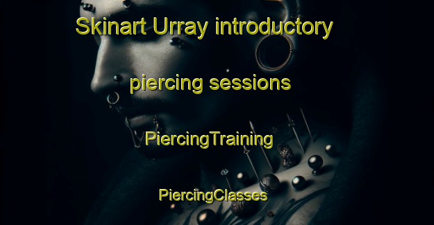 Skinart Urray introductory piercing sessions | PiercingTraining | PiercingClasses | SkinartTraining-United Kingdom