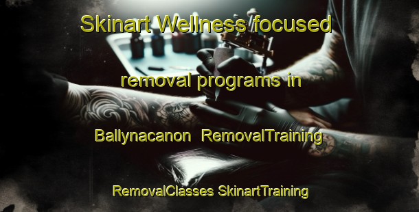 Skinart Wellness-focused removal programs in Ballynacanon | #RemovalTraining #RemovalClasses #SkinartTraining-United Kingdom