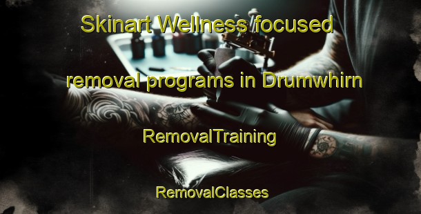 Skinart Wellness-focused removal programs in Drumwhirn | RemovalTraining | RemovalClasses | SkinartTraining-United Kingdom