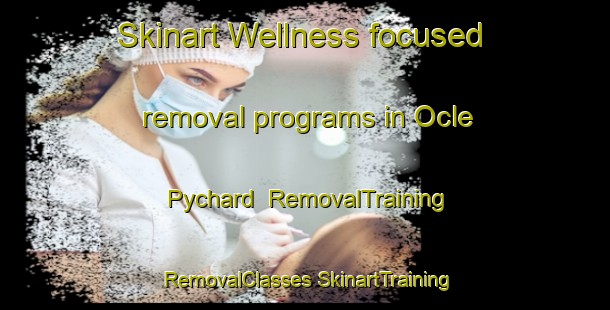 Skinart Wellness-focused removal programs in Ocle Pychard | #RemovalTraining #RemovalClasses #SkinartTraining-United Kingdom