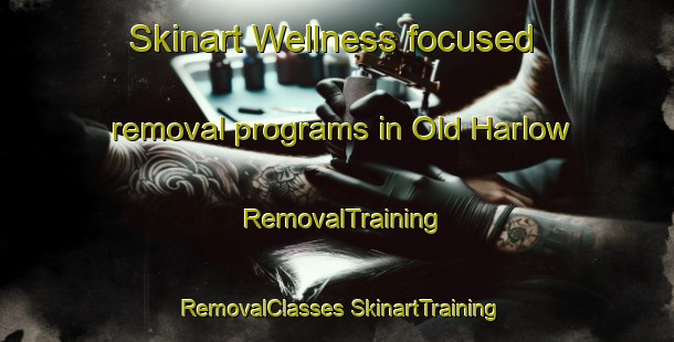 Skinart Wellness-focused removal programs in Old Harlow | #RemovalTraining #RemovalClasses #SkinartTraining-United Kingdom