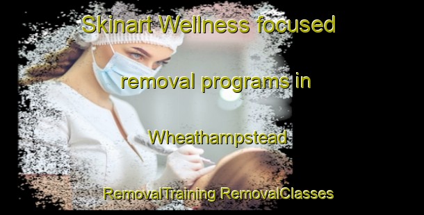 Skinart Wellness-focused removal programs in Wheathampstead | #RemovalTraining #RemovalClasses #SkinartTraining-United Kingdom