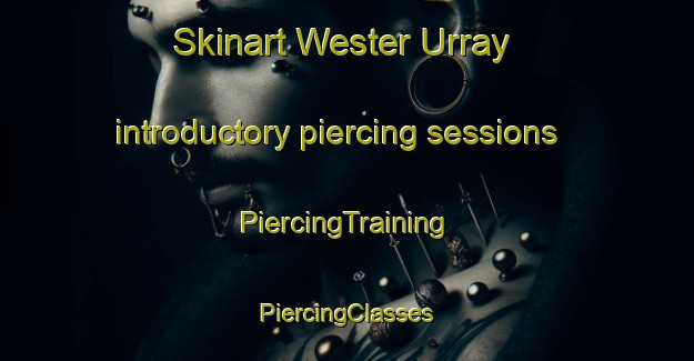 Skinart Wester Urray introductory piercing sessions | #PiercingTraining #PiercingClasses #SkinartTraining-United Kingdom