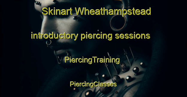 Skinart Wheathampstead introductory piercing sessions | #PiercingTraining #PiercingClasses #SkinartTraining-United Kingdom