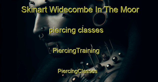 Skinart Widecombe In The Moor piercing classes | PiercingTraining | PiercingClasses | SkinartTraining-United Kingdom