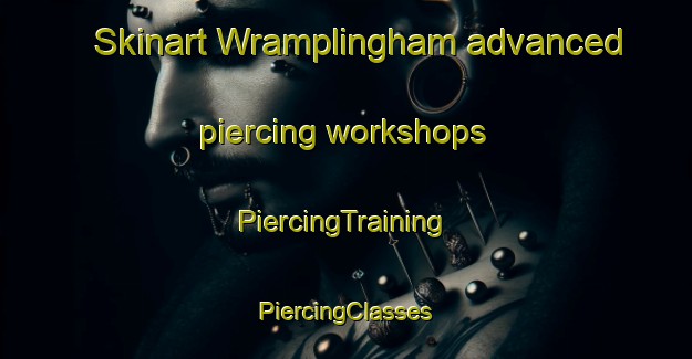 Skinart Wramplingham advanced piercing workshops | #PiercingTraining #PiercingClasses #SkinartTraining-United Kingdom