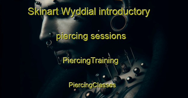 Skinart Wyddial introductory piercing sessions | PiercingTraining | PiercingClasses | SkinartTraining-United Kingdom
