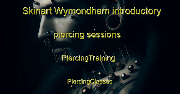 Skinart Wymondham introductory piercing sessions | #PiercingTraining #PiercingClasses #SkinartTraining-United Kingdom