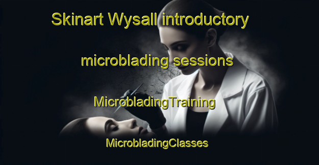 Skinart Wysall introductory microblading sessions | MicrobladingTraining | MicrobladingClasses | SkinartTraining-United Kingdom