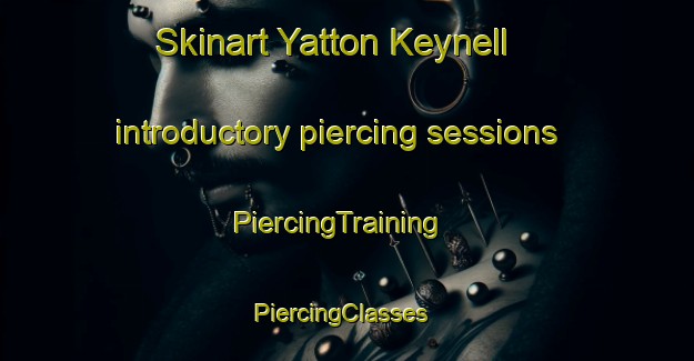 Skinart Yatton Keynell introductory piercing sessions | PiercingTraining | PiercingClasses | SkinartTraining-United Kingdom